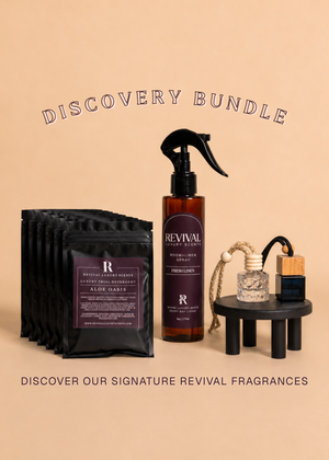 Discovery Bundle